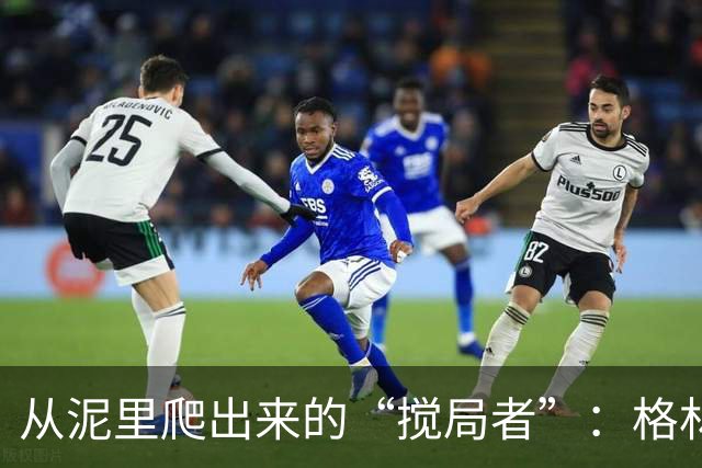 从泥里爬出来的“搅局者”：格林与华纳的生动对比